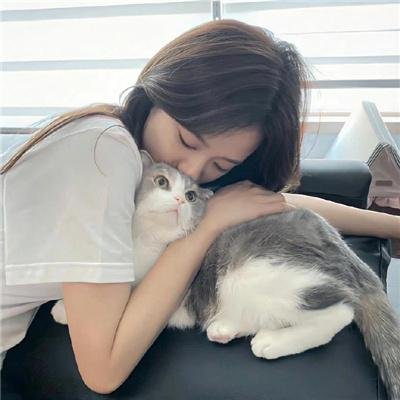 鲨颤